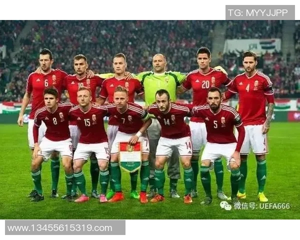 足球明星卡片签名珍藏价值分析与市场趋势探讨